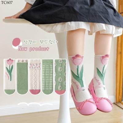 TC607 SET 5 ĐÔI TẤT CAO CỔ BÉ GÁI NHÀ MINLIU
