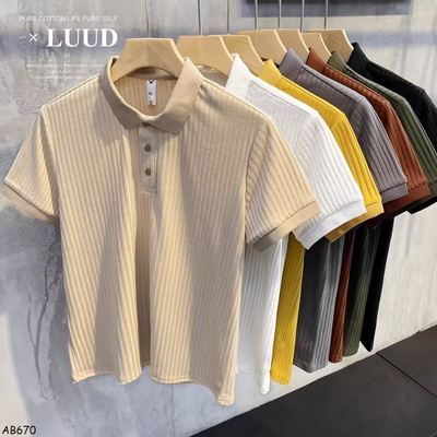 AB670-ÁO POLO TRƠN CHO NAM