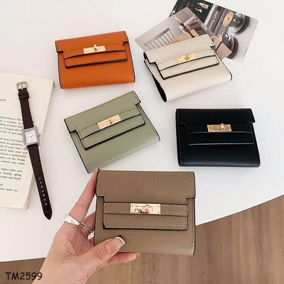 TM2599 VÍ MINI CẦM TAY