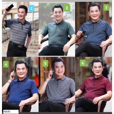 AB691  ÁO POLO NAM TRUNG NIÊN
