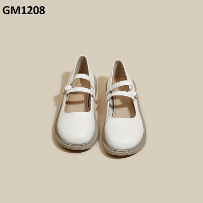 GM1208