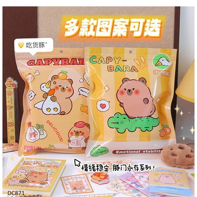 DC871  TÚI BLIND BOX CAPYBARA BẤT NGỜ