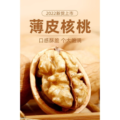 F487 TÚI 500G QUẢ ÓC CHÓ GIẤY TÂN CƯƠNG AKSU