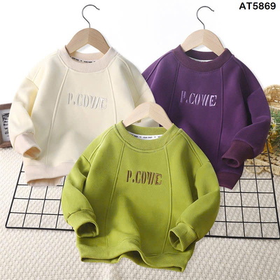AT5869 Áo nỉ sweater lót lông cho bé trai