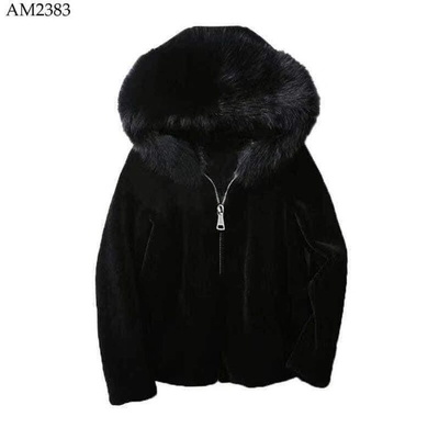 AM2383