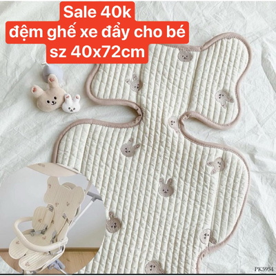 PK5954 SẴN