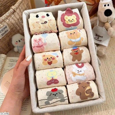 TC1596  SET 10 ĐÔI TẤT CỔ CAO