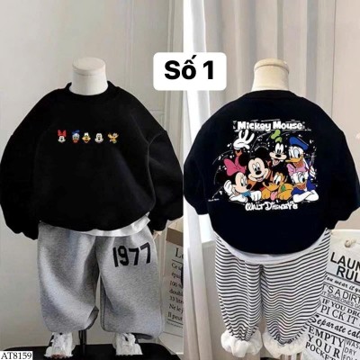 AT8159 BST ÁO NỈ HOẠT HÌNH BT