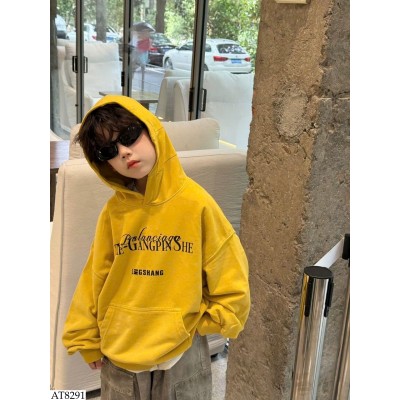 AT8291 ÁO HOODIE CHỮ TAIRU BT