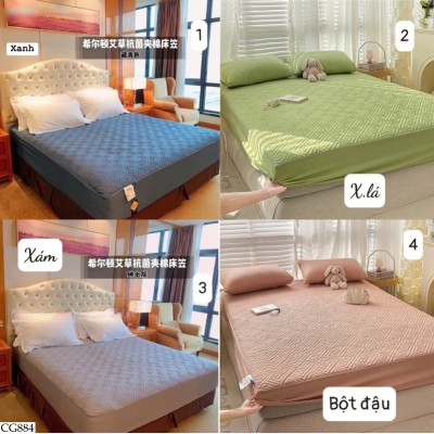 CG884 GA CHẦN BÔNG HILTON.  