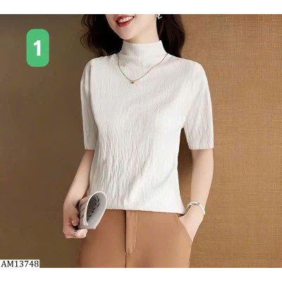 AM13748 ÁO THUN CỔ MOCK-NECK HÀN QUỐC
