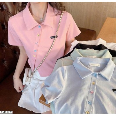AM13870  ÁO CỔ POLO PHỐI HÀNG CÚC MÀU