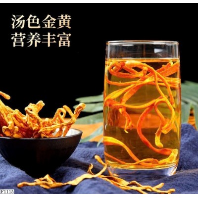 F1115 NẤM ĐÔNG TRÙNG HẠ THẢO