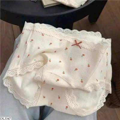 DL3347 SET 5 QUẦN CHIP CHO NỮ