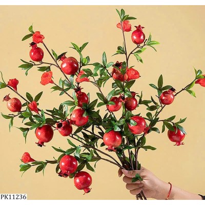 PK11236 SET 5 CÀNH LỰU