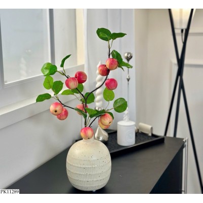 PK11289 BÌNH TÁO DECOR