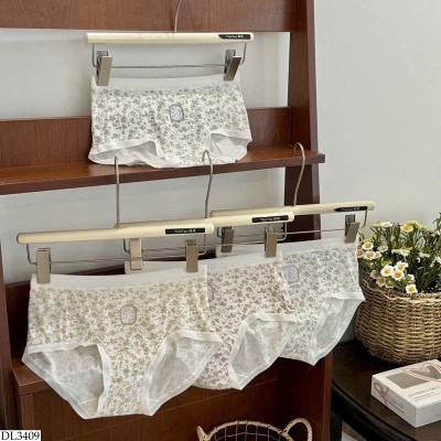 DL3409 SET 4 QUẦN LÓT HOA NHÍ NỮ