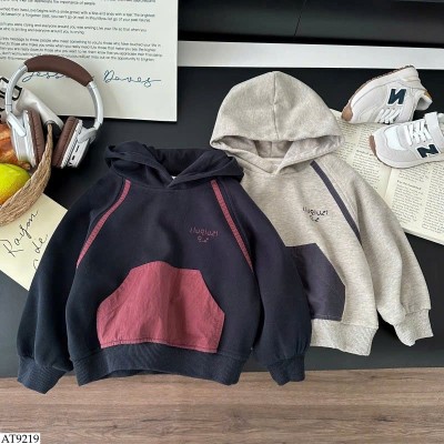AT9219 ÁO HOODIE PHỐI MÀU BT