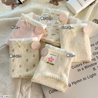 DL3462 SET 10 QUẦN LÓT CHẤT COTTON HOA MỀM MỊN