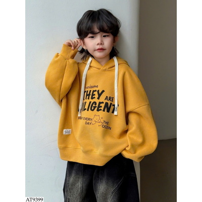 AT9399 ÁO HOODIE HỌA TIẾT CHỮ BT GIÁ MỚI