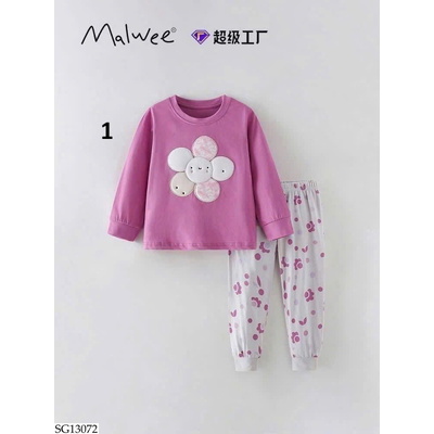 SG13072 BỘ HOA THU ĐÔNG MALWEE BG