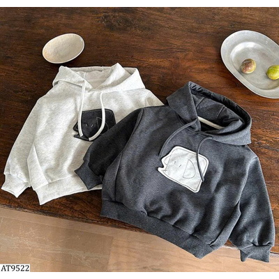 AT9522 ÁO NỈ HOODIE CHO BÉ