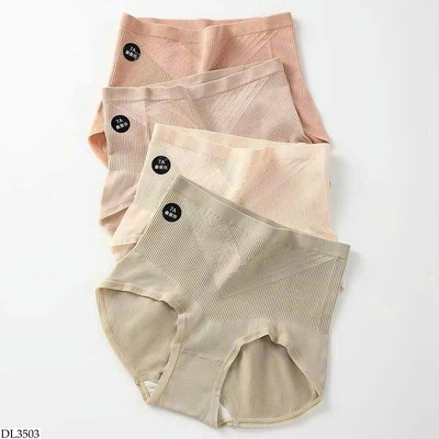 DL3503 SET 5 QUẦN CHIP GEN BỤNG NỮ