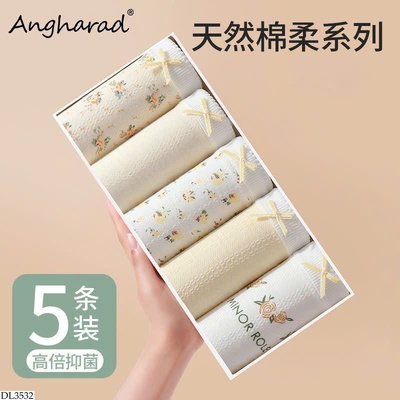 DL3532 SET 5 QUẦN CHIP KHÁNG KHUẨN CHO NỮ