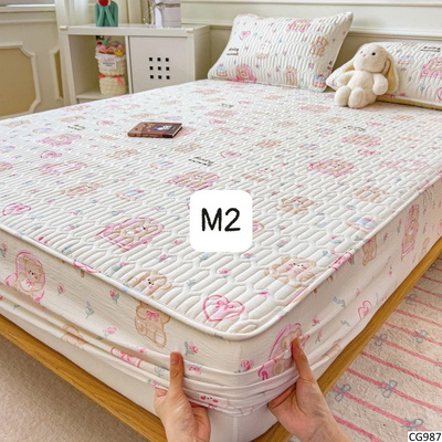 CG987 GA TRẢI GIƯỜNG TRẦN BÔNG KÈM 2 VỎ GỐI