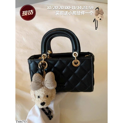 TM6753 TÚI XÁCH CHIO2ND