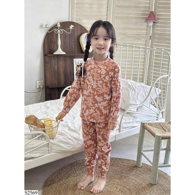 S2569 BỘ GIỮ NHIỆT HOẠ TIẾT