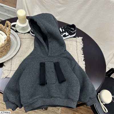 AT9984 ÁO HOODIE CÚN BT