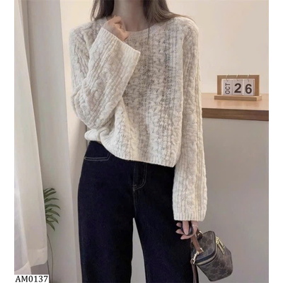 AM0137  ÁO LEN MỎNG NỮ