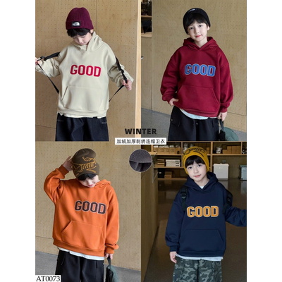 AT0073 ÁO HOODIE THÊU CHỮ AOAOKIDS