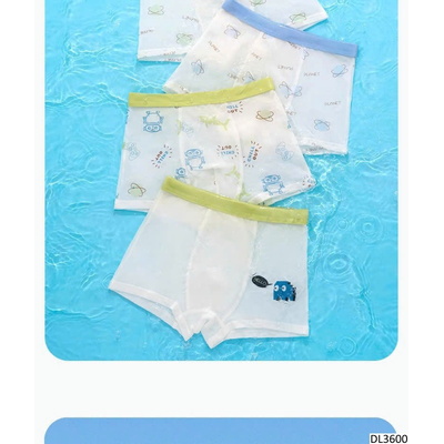 DL3600 SET 4 QUẦN CHIP ĐÙI BĂNG LỤA KAKALULU CHO BT