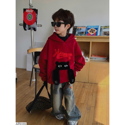 AT0191 ÁO HOODIE THÊU HÌNH MÈO BÔNG BT
