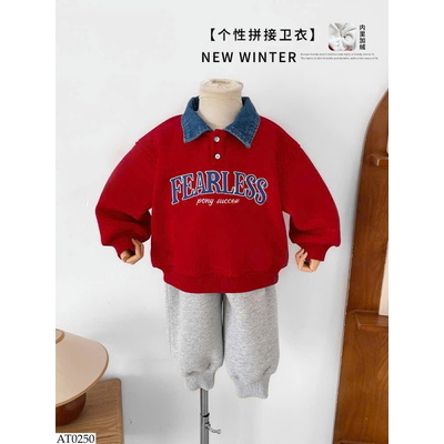 AT0250 ÁO POLO NỈ BT