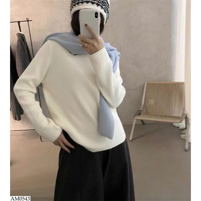 AM0543 ÁO LEN CỔ CAO TRƠN MÀU NỮ