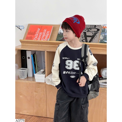 A3775 ÁO NỈ SỐ 98 AMBB