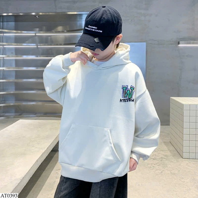 AT0393 ÁO NỈ HOODIE CHO BT