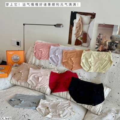 DL3645 HỘP 10 QUẦN CHIP CHO NỮ