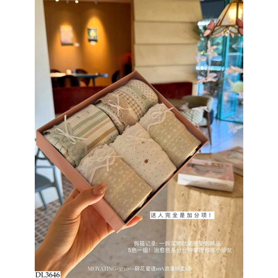 DL3646 SET 5 QUẦN CHIP VIỀN REN CHO NỮ