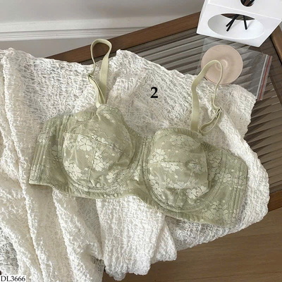 DL3666 ÁO LÓT CHO NỮ