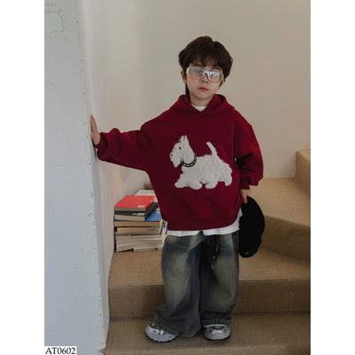 AT0602 ÁO HOODIE CÚN BT