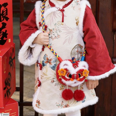 T3660 TÚI ĐEO CHÉO HÌNH LÂN