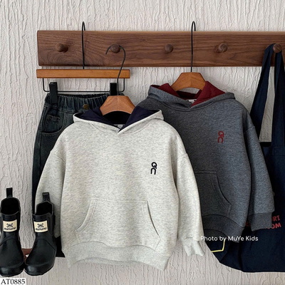 AT0885 ÁO HOODIE LÓT LÔNG BT