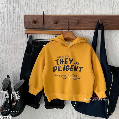 AT0887 ÁO HOODIE CHỮ LÓT LÔNG BT