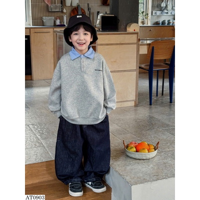 AT0903 ÁO NỈ CỔ POLO THÊU AOAOKIDS