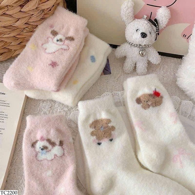 TC2200 SET 10 ĐÔI TẤT CHO NỮ