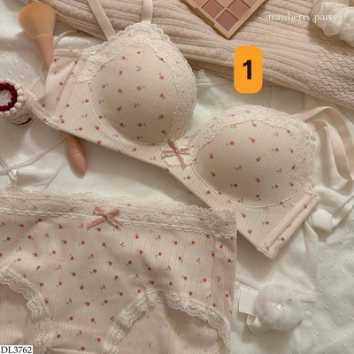 DL3762 SET ĐỒ LÓT HOA NHÍ PHỐI REN 